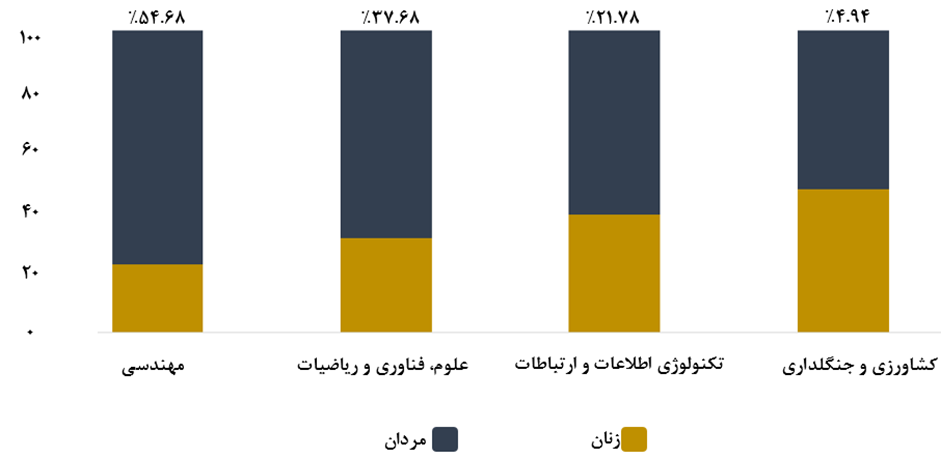 زنان در دنیای دیجیتال: بین تبعیض و شکوفایی (18704)