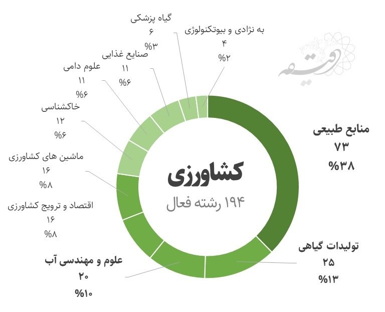 چه گزینههایی برای تحصیل در دانشگاههای ایران وجود دارد؟ 4 چه گزینههایی برای تحصیل در دانشگاههای ایران وجود دارد؟